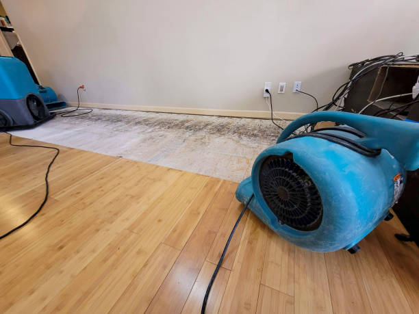 Professional Sewage Cleanup technician working in Uxbridge, MA